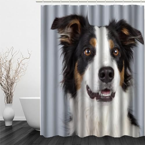 MEVASA Duschvorhang 180x200 Australischer Hirte Duschvorhang mit 12 Ring 3D Motiv Wasserdicht Duschvorhang Textil Süßer Hund Badezimmer Vorhänge Hohe Qualität von MEVASA