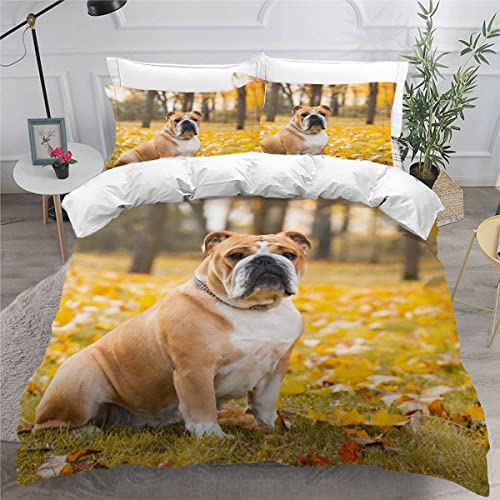 MEVASA Kinder Bettwäsche Englische Bulldogge Süßer Hund Tier Bettwäsche 155x220 Mädchen Junge Hypoallergen Flauschige Bettwäsche Set 3 Stück Mikrofaser Kinder Bettbezug mit Reißverschluss MEVASA Kinder Bettwäsche Englische Bulldogge Süßer Hund Tier Bettwäsche 155x220 Mädchen Junge Hypoallergen Flauschige Bettwäsche Set 3 Stück Mikrofaser Kinder Bettbezug mit Reißverschluss von MEVASA