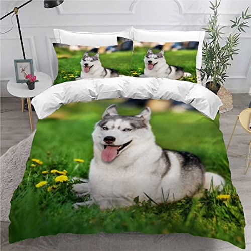 MEVASA Sibirischer Husky Bettwäsche 220x240 3D Motiv Flauschige Bettbezug Hund Grün Qualität Luxus Atmungsaktiv Allergiker Mikrofaser Betten Set 3 Teilig mit Reißverschluss von MEVASA
