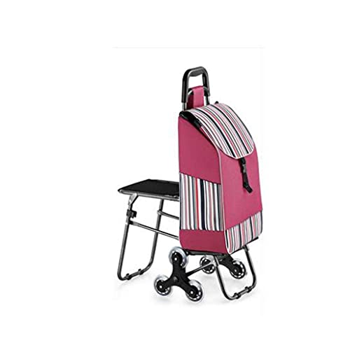 MEVZHH Bewegliche Handfahrzeuge Shoppicart Räder Frau Shoppicart Haushalt Shoppibtrolley Trailer Tragbarer Warenkorb Faltbarer Lebensmittelwagen/D von MEVZHH