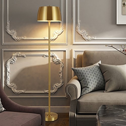 MEVZHH Fußbodenlampen,Wohnzimmer Studie Schlafzimmer Bettseitedenes Eisen Kunst Vertikale Fußbodenlampen,E27 220V Stehlicht/Trichromatisches Licht 9W/Led Warm Licht 8W von MEVZHH