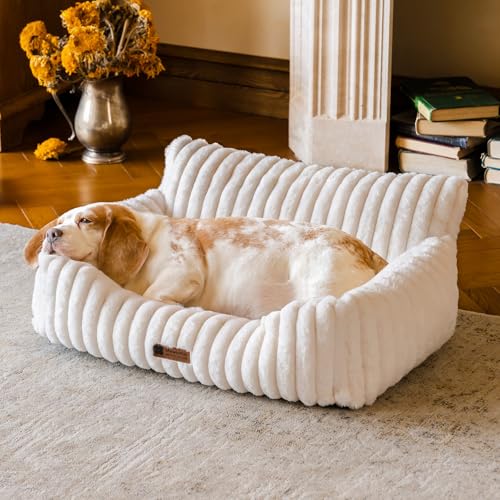 MEWOOFUN Hundesofabett - Katzenbetten für Hauskatzen Weich und Flauschig, Katzensofabett Kleines Hundebett für Hunde und Katzen, Beruhigendes Hundebett (Hafermilch, 76x53x30cm) von MEWOOFUN