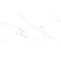 Bliss White glasiertes rektifiziertes Feinsteinzeug, Wand- und Bodenfliese 120 x 60 cm, gl√§nzend - TL149-120-060-00 - Mexen von MEXEN