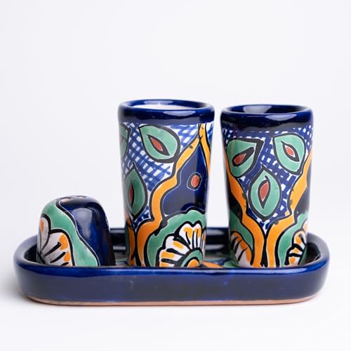 ECONIA - Authentische mexikanische Talavera Tequila Schnapsgläser, Salzstreuer mit Tablett, 4-teiliges Set – Handwerklich bunt handbemalt – Vaso Tequilero Scotch (Daisy Flower) von MEXTEQUIL