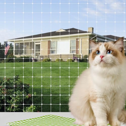MEYAGOT Katzennetz Für Balkon,3x10m Transparentes Katzenschutznetz,Katzenschutznetz,Transparentes Katzennetz Für Katzen,Balkonnetz Für Katzen Für Terrassen,Fenstern,Terrassen,Balkon MEYAGOT Katzennetz Für Balkon,3x10m Transparentes Katzenschutznetz,Katzenschutznetz,Transparentes Katzennetz Für Katzen,Balkonnetz Für Katzen Für Terrassen,Fenstern,Terrassen,Balkon von MEYAGOT