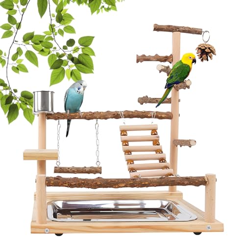 Vogelspielzeug, Papageienspielzeug, Wellensittich Spielzeug, Spielplatz Mit Feeder-Cup Spielzeug Leiter Erklimmen Schaukel Und Tablett Vogelschaukel Sitzplatz Für Sittiche Nymphensittich, 37x26x45CM Vogelspielzeug, Papageienspielzeug, Wellensittich Spielzeug, Spielplatz Mit Feeder-Cup Spielzeug Leiter Erklimmen Schaukel Und Tablett Vogelschaukel Sitzplatz Für Sittiche Nymphensittich, 37x26x45CM von MEYAGOT
