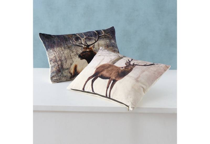 MF Dekokissen 2er-Set Kissen "Alcina" – Hirschmotiv im Wald-Design, 60x40 cm von MF