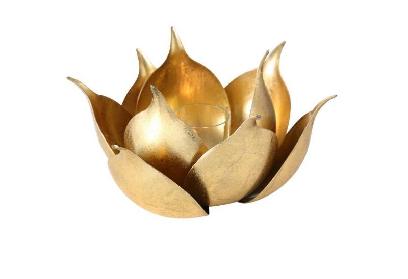 MF Windlicht Windlicht Lotusgold Lotusblume Metall Gold 20 cm (1 St) von MF