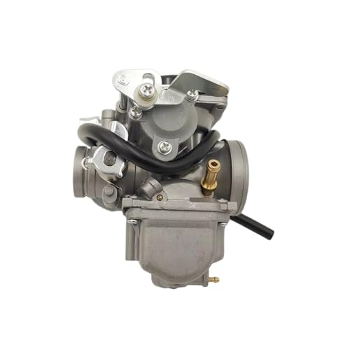 Vergaser Für GS GN 200 GS200 GN200 QM200GY GY200 250cc 200cc Für Wangjiang WJ200 Motorrad Vergaser von MFTGRS