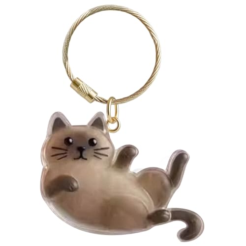 MFYOUPK Haustierhaar Aufbewahrungsschlüsselanhänger - Erinnerungs Haare Aufbewahrungsbox Taschencharm - Haustier Andenken Flasche Schlüsselring Geschenk für Kinder Frauen Erwachsene zu Feiertagen von MFYOUPK