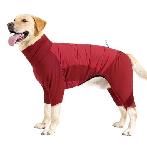 MFYOUPK Winterkleidung für Hunde, kaltes Wetter, winddicht, mit Kragen, verstellbarer Wintermantel für kleine, mittelgroße und große Hunde, Wandern, Spazierengehen, Camping von MFYOUPK