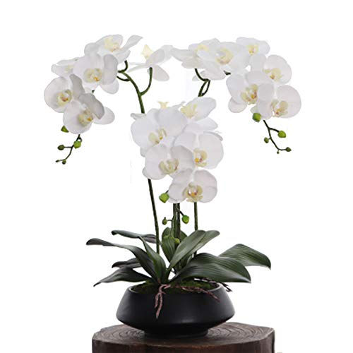 Künstliche Orchidee Bonsai mit Keramikvase, Gefühl PU Real Touch Blumen Phalaenopsis Bonsai für Tischstelle Home Party Dekoration,Weiß von MG REAL