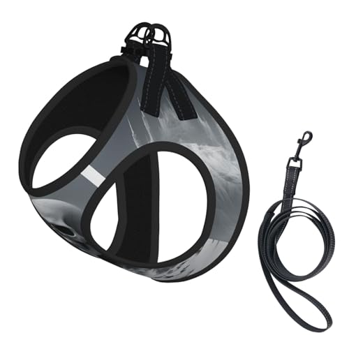 Haustier-Leine, reflektierend, verstellbar, weiches Netzgewebe, atmungsaktiv, für tägliche Spaziergänge, Weiß Haustier-Leine, reflektierend, verstellbar, weiches Netzgewebe, atmungsaktiv, für tägliche Spaziergänge, Weiß von MGGAklp