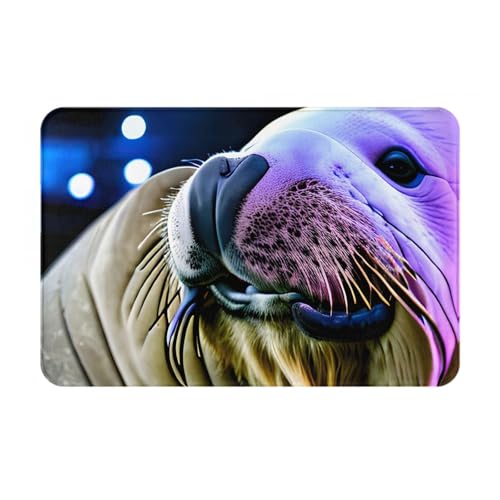 MGGAklp Fußmatte mit Walross-Motiv, rutschfest und wasserabsorbierend, für Innen- und Außenbereich MGGAklp Fußmatte mit Walross-Motiv, rutschfest und wasserabsorbierend, für Innen- und Außenbereich von MGGAklp