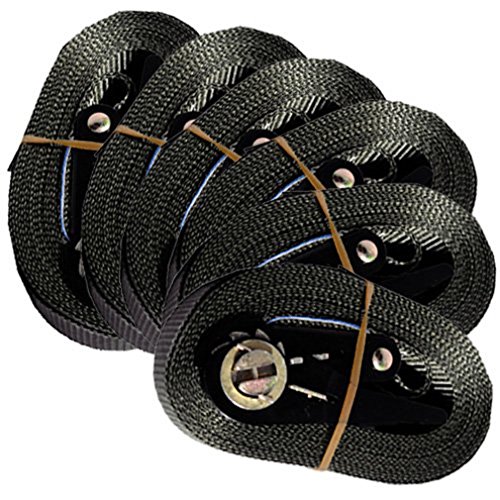 6 SPANNGURTE mit ZURRRATSCHE 6 m 0,8 t EN-12195-2 Zurrgurte 6m (Schwarz) von MGS SHOP