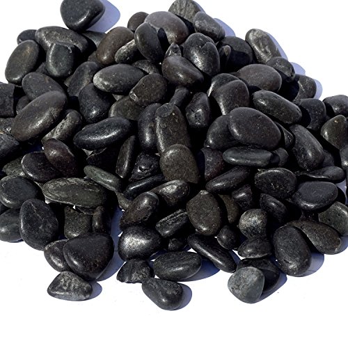 MGS SHOP Dekokies Zierkies Deko DIY Kies Granulat Splitt - Farbe wählbar (5 kg, Nero schwarz 10-20) von MGS SHOP