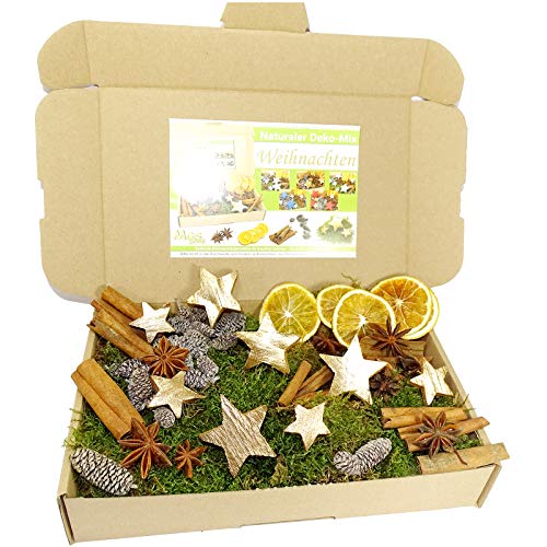 MGS SHOP Deko - Mix WEIHNACHTEN Bastelset kreative Idee Natur Dekoration mit Moos Anis Zimt Orangenscheibe Kokosstern (GOLD) von MGS SHOP