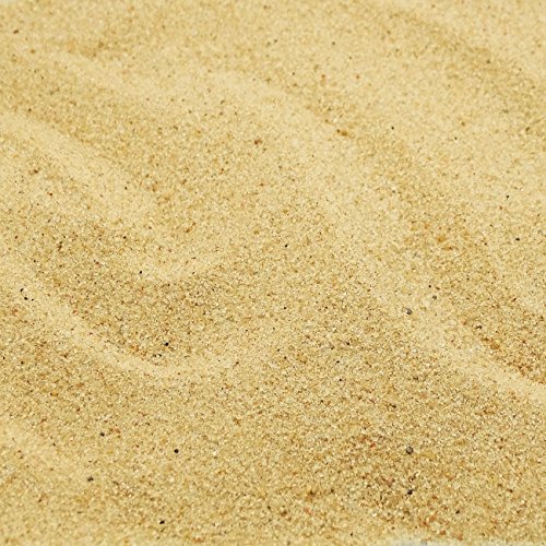MGS SHOP Dekokies Beach Strandsand - Optik Natur 0-2 mm ideal zum Muschelmix Maritime Dekoration Strand Deko (5kg Strandsand) von MGS SHOP