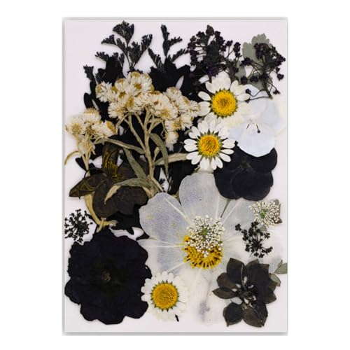 Lesezeichen mit gepressten Blättern, mit echten Blättern, trockene Blume für elegantes Lesen und Dekoration, natürliche Lesezeichen von MHADBKH