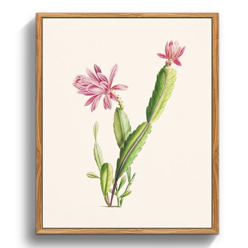MHARTK66 Vintage Botanisch Leinwand Bilder mit Rahmen Holz, 20x25 cm Klein Wandbilder Wohnzimmer Kaktus Rosa Blumen Bild Aesthetic, Blumen Illustration Wanddeko Schlafzimmer Badezimmer Büro Zimmer von MHARTK66