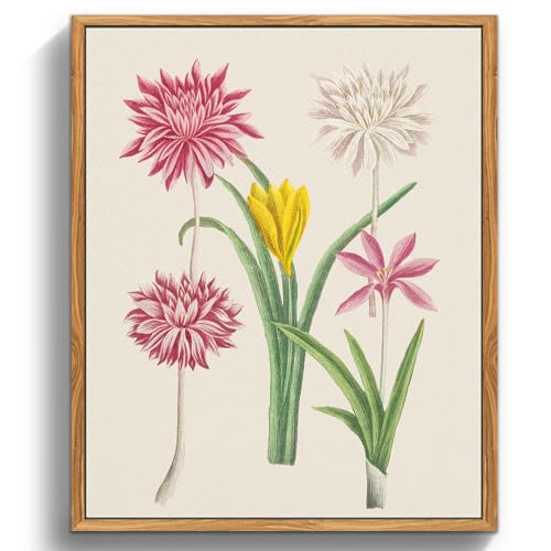 MHARTK66 Vintage Botanisch Leinwand Bilder mit Rahmen Holz, 20x25 cm Klein Wandbilder Wohnzimmer Rosa Blumen Bild Aesthetic, Blumen Illustration Wanddeko Schlafzimmer Badezimmer Büro Zimmer von MHARTK66