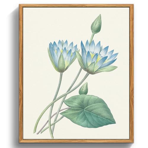 MHARTK66 Vintage Botanisch Leinwand Bilder mit Rahmen Holz, 30x40 cm Wandbilder Wohnzimmer Blauer Lotus Bild Aesthetic, Blumen Illustration Wanddeko Schlafzimmer Badezimmer Büro Zimmer von MHARTK66