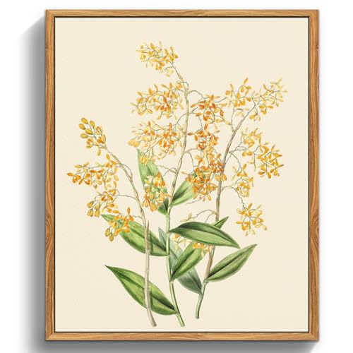 MHARTK66 Vintage Botanisch Leinwand Bilder mit Rahmen Holz, 30x40 cm Wandbilder Wohnzimmer Gelbe Orchidee Bild Aesthetic, Blumen Illustration Wanddeko Schlafzimmer Badezimmer Büro Zimmer von MHARTK66