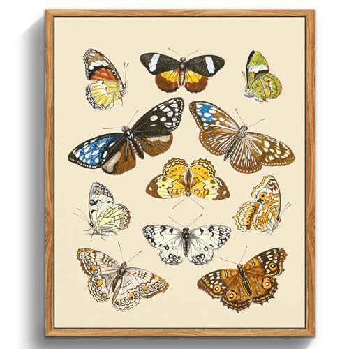 MHARTK66 Vintage Insekten Leinwand Bilder mit Rahmen Holz, 40x60 cm Wandbilder Wohnzimmer Brauner Schmetterlingsschwarm Bild Aesthetic, Illustration Wanddeko Schlafzimmer Badezimmer Büro Zimmer von MHARTK66