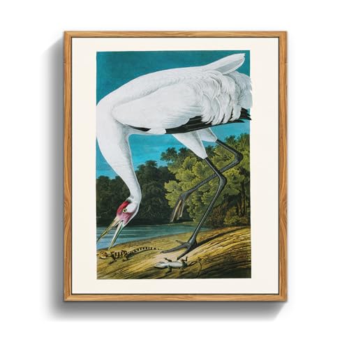 MHARTK66 Vintage Vogel Leinwand Bilder mit Rahmen Holz, 30x40 cm Wandbilder Wohnzimmer Schreikranich Alligator Bild Aesthetic, Tier Illustration Wanddeko Schlafzimmer Badezimmer Büro Zimmer MHARTK66 Vintage Vogel Leinwand Bilder mit Rahmen Holz, 30x40 cm Wandbilder Wohnzimmer Schreikranich Alligator Bild Aesthetic, Tier Illustration Wanddeko Schlafzimmer Badezimmer Büro Zimmer von MHARTK66