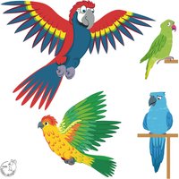 Wandtattoo "Papageie" Farbauswahl Personalisierbar Kinderzimmer Kinder Babyzimmer Dschungel Vögel Wandsticker Wandaufkleber von MHBilder