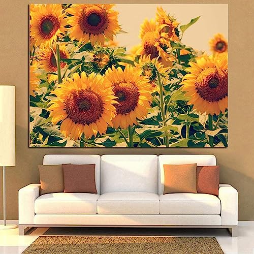 MHLCMG Leinwand Malerei Sonnenblumen Bilder Wandkunst Blumenmeer Poster Kunstdruck Bild Wand Wohnzimmer Schlafzimmer Dekor Kein Rahmen (30X40CM) von MHLCMG