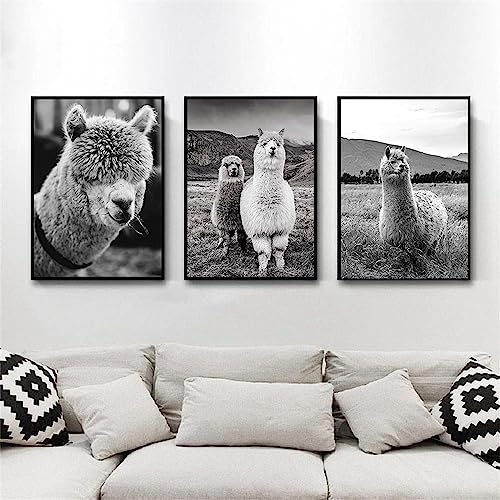 MHLCMG Leinwand Malerei Weiß Alpaka Bilder Wandkunst Moderne Tier Lama Poster Kunstdruck Bild Wand Wohnzimmer Schlafzimmer Dekor Kein Rahmen (3X20X30CM) von MHLCMG