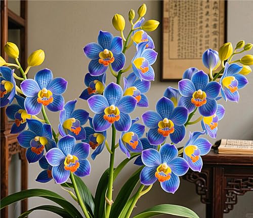 MehrjäHrige Cymbidium-Rhizom, üBerraschendes Wachstum, Gartendekoration, Kein GießEn Erforderlich,Winterhart-10 Rhizom-C MehrjäHrige Cymbidium-Rhizom, üBerraschendes Wachstum, Gartendekoration, Kein GießEn Erforderlich,Winterhart-10 Rhizom-C von MHOLDC