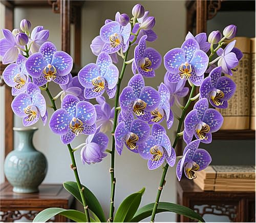 MehrjäHrige Cymbidium-Rhizom, üBerraschendes Wachstum, Gartendekoration, Kein GießEn Erforderlich,Winterhart-10 Rhizom-E MehrjäHrige Cymbidium-Rhizom, üBerraschendes Wachstum, Gartendekoration, Kein GießEn Erforderlich,Winterhart-10 Rhizom-E von MHOLDC