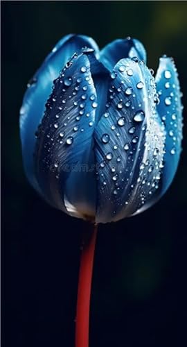 MehrjäHrige Tulpen-Rhizome,üBerraschendes Wachstum,Gartendekoration,Kein GießEn Erforderlich,Winterhart-3 Rhizome-I MehrjäHrige Tulpen-Rhizome,üBerraschendes Wachstum,Gartendekoration,Kein GießEn Erforderlich,Winterhart-3 Rhizome-I von MHOLDC
