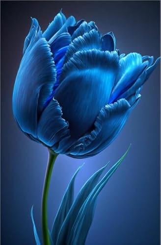 MehrjäHrige Tulpen-Rhizome,üBerraschendes Wachstum,Gartendekoration,Kein GießEn Erforderlich,Winterhart-5 Rhizome-C von MHOLDC