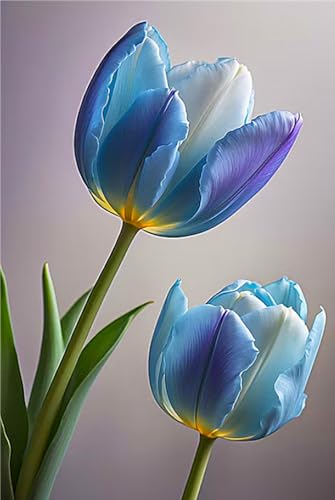 MehrjäHrige Tulpen-Rhizome,üBerraschendes Wachstum,Gartendekoration,Kein GießEn Erforderlich,Winterhart-8 Rhizome-F MehrjäHrige Tulpen-Rhizome,üBerraschendes Wachstum,Gartendekoration,Kein GießEn Erforderlich,Winterhart-8 Rhizome-F von MHOLDC