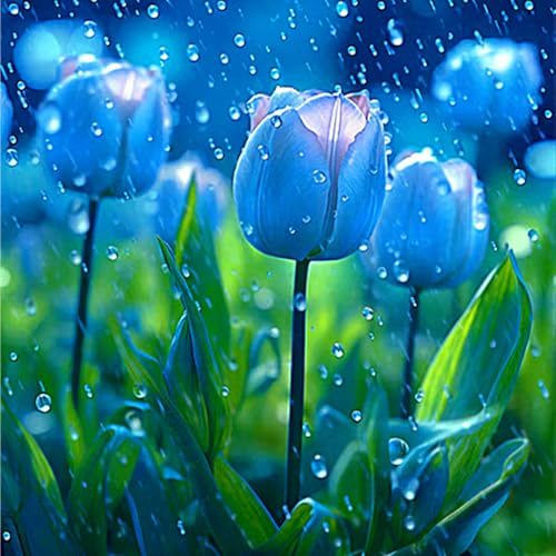 Tulpenzwiebeln,Gartenliebhaber,Gartenpflanzen,Winterhart,Tulpen Zwiebeln MehrjäHrig,Tulpen,Winterhart MehrjäHrig-15zwiebeln-E Tulpenzwiebeln,Gartenliebhaber,Gartenpflanzen,Winterhart,Tulpen Zwiebeln MehrjäHrig,Tulpen,Winterhart MehrjäHrig-15zwiebeln-E von MHOLDC