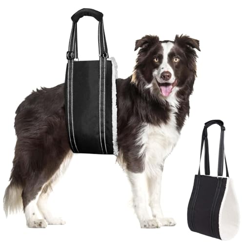 MHwan Tragehilfe Hund, Einstellbare Hunde Tragehilfe für die Unterstützung Von Behinderten und Älteren Hunden, um Sicherheitsunterstützung für Kleine, Mittlere und Große Hunde zu Unterstützen (XL) von MHwan