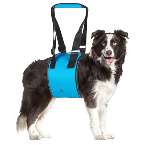 MHwan Tragehilfe Hund, Hundefreundliches blaues Design mit Verstellbarer tragegurt Hund, die behinderten und älteren Hunden beim Spazierengehen sicheren Halt bietet, treppenhilfe für Hunde (M) von MHwan