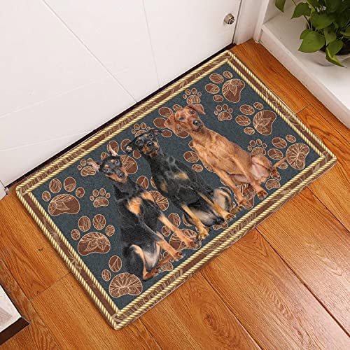 MIAOMANSENSTORE Fußmatte innen außen fussmatte Deutscher Pinscher Blumenpfoten-Hunde-Fußmatte, dekorative Willkommens-Fußmatte für deutsche Pinscher-Hundeliebhaber Deko Wohnzimmer von MIAOMANSENSTORE