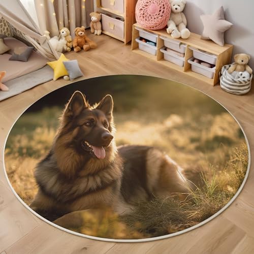 MIATCENRT Waschbar Teppich Rund 100cm, rutschfest Dünner Teppich, Gegend Kreis Goldenes Grün Tier Portrait Sonnenschein Schäferhund Fußboden Teppiche für Wohnzimmer Schlafzimmer Kinderzimmer MIATCENRT Waschbar Teppich Rund 100cm, rutschfest Dünner Teppich, Gegend Kreis Goldenes Grün Tier Portrait Sonnenschein Schäferhund Fußboden Teppiche für Wohnzimmer Schlafzimmer Kinderzimmer von MIATCENRT