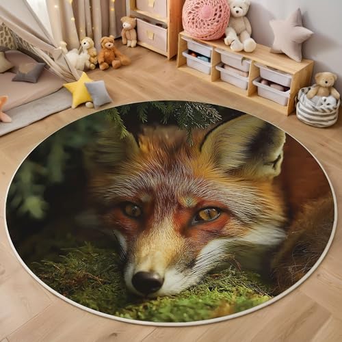 MIATCENRT Waschbar Teppich Rund 120cm, rutschfest Dünner Teppich, Gegend Kreis Dunkelbraun Mystery Tiere Moos Fuchs Fußboden Teppiche für Wohnzimmer Schlafzimmer Kinderzimmer MIATCENRT Waschbar Teppich Rund 120cm, rutschfest Dünner Teppich, Gegend Kreis Dunkelbraun Mystery Tiere Moos Fuchs Fußboden Teppiche für Wohnzimmer Schlafzimmer Kinderzimmer von MIATCENRT