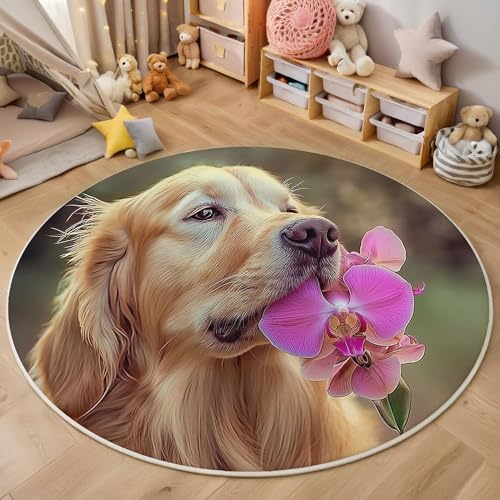 MIATCENRT Waschbar Teppich Rund 160cm, rutschfest Dünner Teppich, Gegend Kreis Hellbraun Süß Tiere Orchidee Golden Retriever Fußboden Teppiche für Wohnzimmer Schlafzimmer Kinderzimmer MIATCENRT Waschbar Teppich Rund 160cm, rutschfest Dünner Teppich, Gegend Kreis Hellbraun Süß Tiere Orchidee Golden Retriever Fußboden Teppiche für Wohnzimmer Schlafzimmer Kinderzimmer von MIATCENRT