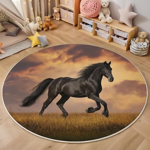 MIATCENRT Waschbar Teppich Rund 160cm, rutschfest Dünner Teppich, Gegend Kreis Orange Braun Landschaft Tiere Sonnenuntergang Laufen Pferd Fußboden Teppiche für Wohnzimmer Schlafzimmer Kinderzimmer MIATCENRT Waschbar Teppich Rund 160cm, rutschfest Dünner Teppich, Gegend Kreis Orange Braun Landschaft Tiere Sonnenuntergang Laufen Pferd Fußboden Teppiche für Wohnzimmer Schlafzimmer Kinderzimmer von MIATCENRT
