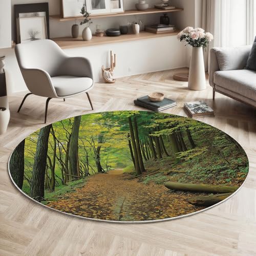 MIATCENRT Waschbarer Gelbgrün Teppich Wohnzimmer Schlafzimmer Rund Teppich, Waldweg Herbstlandschaft Muster Deko, Teppiche kurzerflor für Esszimmer Büro Eingangsbereich, 160cm von MIATCENRT