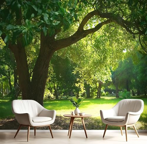 Natur Landschaft Fototapete Park Sonnenlicht Laub Tapete, Fototapeten ‎150x105cm (B×H) für Wohnzimmer Schlafzimmer Flur Seidenstoff Tapete Wandtapete, Smaragdgrün Wand tapete Motivtapeten von MIATCENRT