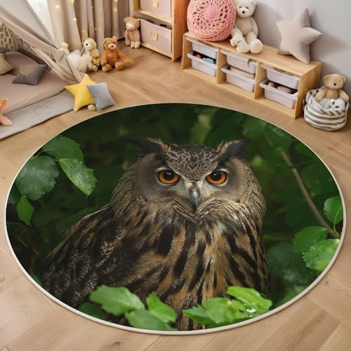 Waschbarer Braun-Grün Teppich Wohnzimmer Schlafzimmer Rund Teppich, Wald Eule Muster Tiere Deko, Teppiche kurzerflor für Esszimmer Büro Eingangsbereich, 100cm Waschbarer Braun-Grün Teppich Wohnzimmer Schlafzimmer Rund Teppich, Wald Eule Muster Tiere Deko, Teppiche kurzerflor für Esszimmer Büro Eingangsbereich, 100cm von MIATCENRT