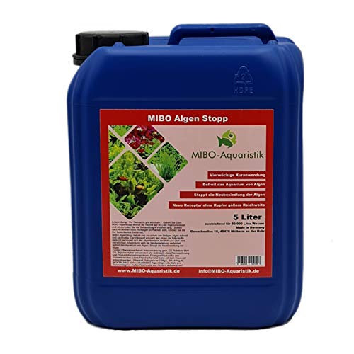 MIBO Algenstopp Algenvernichter 5000 ml Kanister ausreichend für 50.000 L Wasser! Jetzt NEU! Neue Rezeptur ohne Kupfer größere Reichweite Lieferung! MIBO Algenstopp Algenvernichter 5000 ml Kanister ausreichend für 50.000 L Wasser! Jetzt NEU! Neue Rezeptur ohne Kupfer größere Reichweite Lieferung! von MIBO-Aquaristik