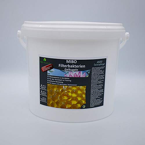 MIBO Filterbakterien Gelkugeln Filterstarter 5.000 ml ausreichend für 100.000,00 Liter MIBO Filterbakterien Gelkugeln Filterstarter 5.000 ml ausreichend für 100.000,00 Liter von MIBO-Aquaristik